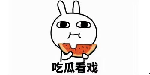 纳凉吃瓜文案搞笑,瓜果飘香，笑料连连，清凉一夏！