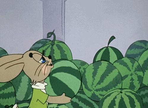 买了泡水瓜吃不吃