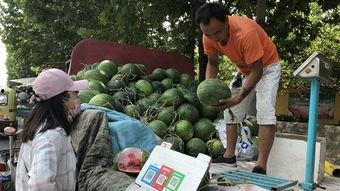 济宁北湖 吃瓜,夏日“吃瓜”盛地，休闲时光新去处