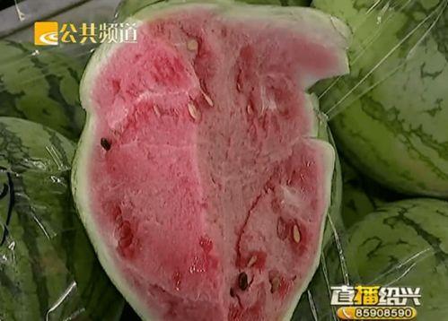 绍兴最近吃瓜,揭秘幕后真相