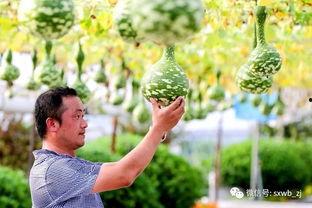 绍兴最近吃瓜,揭秘幕后真相