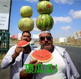 5月吃瓜大赛,年度吃瓜大赛精彩回顾