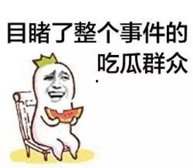 足智多谋吃瓜群众,揭秘网络舆论背后的智慧与趣味