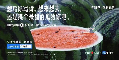 文案理性吃瓜,揭秘网络舆论背后的真相