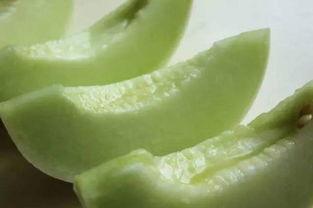 慈溪吃瓜比赛,一场舌尖上的欢乐盛宴