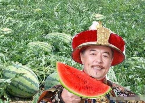 鹤祥宫吃瓜,宫廷秘闻大揭秘