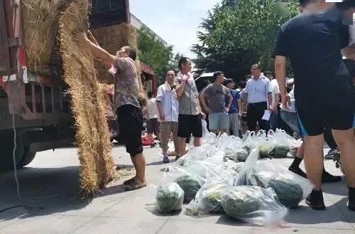 大货车吃瓜视频,揭秘货车司机的生活趣事