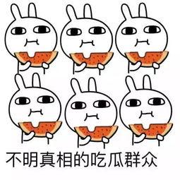 吃瓜冬奥,吃瓜群众狂欢记