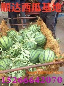 海宁吃瓜爆料公司,揭秘娱乐圈幕后真相，带你走进明星生活