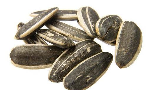 抓把瓜子吃瓜,吃出生活百味