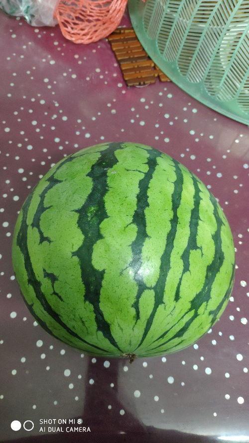 拉完肚子可以吃瓜吗,吃瓜真的没问题吗？揭秘腹泻后饮食禁忌