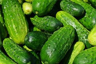 梦见去瓜地捡瓜吃