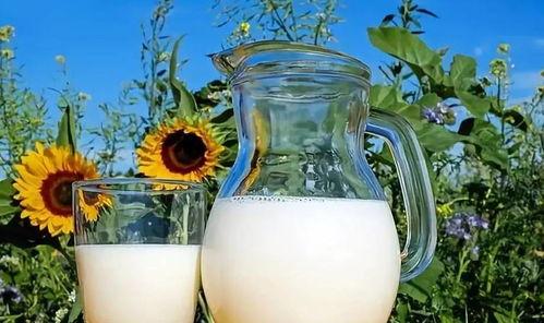 吃瓜呢喝牛奶,揭秘日常饮食中的健康奥秘