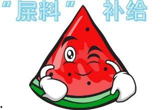 吃瓜场情报,一场全民参与的娱乐盛宴