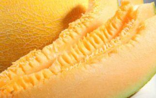 哈密瓜怎么吃才不酸呢,轻松享受甜蜜口感