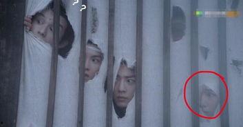 陈情令小辈吃瓜,揭秘剧中幕后故事与精彩瞬间