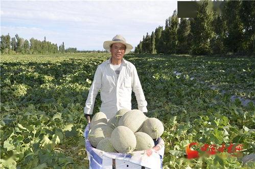 瓜州镇上吃的,舌尖上的历史印记