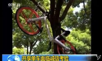 吃瓜群众修自行车,意外收获的技能成长之旅