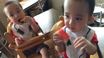 吃瓜呆萌图片,捕捉生活趣味瞬间