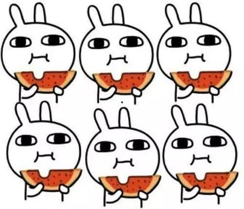 吃瓜呆萌图片,捕捉生活趣味瞬间