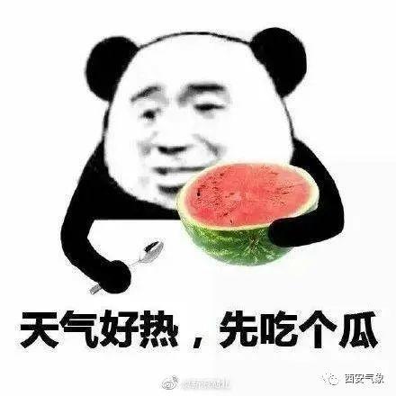 小舞吃瓜表情包