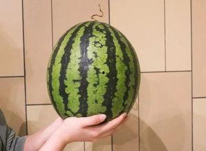 杭州主播吃瓜,揭秘网络直播圈的幕后风云