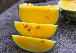 杭州主播吃瓜,揭秘网络直播圈的幕后风云