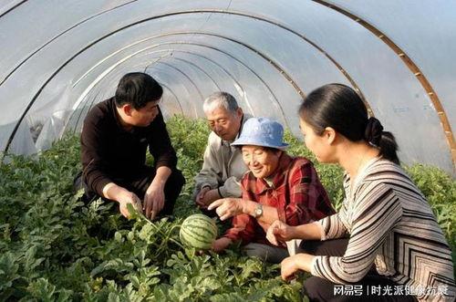 新疆吃瓜开车群,趣味横生，安全驾驶新风尚