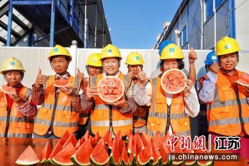 工人工地吃瓜