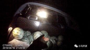 组团偷瓜吃,一场欢乐的组团冒险