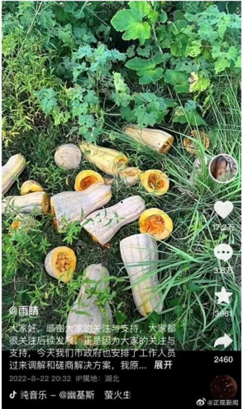 组团偷瓜吃,一场欢乐的组团冒险