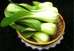 凉棚底下吃凉瓜好吗,凉瓜美食共享时光