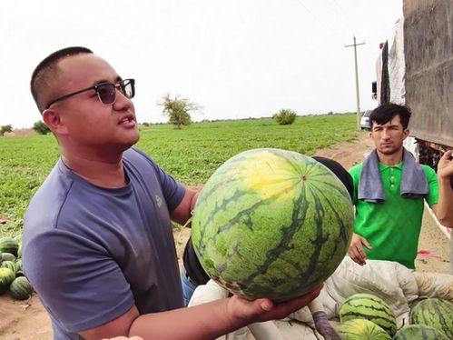 王世琴吃瓜,揭秘娱乐圈幕后故事