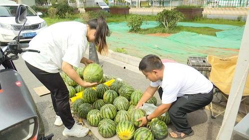 自由吃瓜保护女童,关注女童安全，共建和谐家园