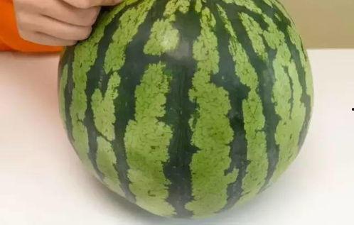 怎样优雅的吃瓜